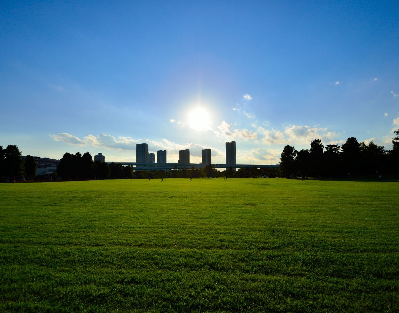 🏞️ 타츠미노모리 해변공원 (타츠미노모리 카이힌 코엔) 이미지 4